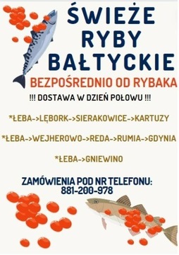 Świeże Ryby Bałtyckie bezpośrednio od Rybaka 