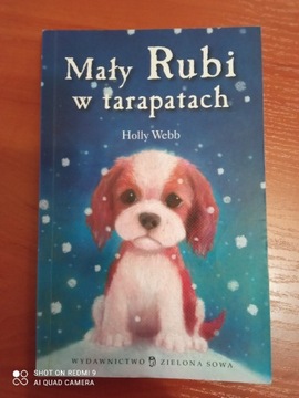 Mały Rubi w tarapatach. Holly Webb