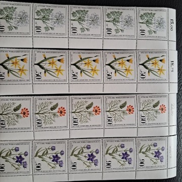 RFN  kwiaty 1980r znaczki czyste