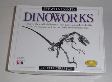 Dinoworks Velociraptor model szkieletu z USA