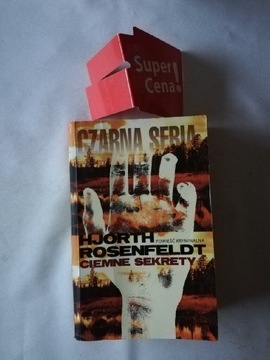 książka "ciemne sekrety" Hjorth Rosenfeldt 