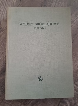 Wydmy Śródlądowe Polski