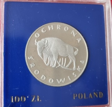 100 zł Żubr 1977 rok, srebro 625 ,mennicza 