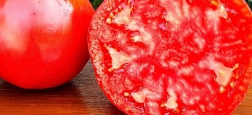 GRANNY CANTRELL'S  pomidor nasiona Kolekcjonerskie