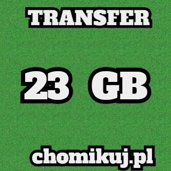 Transfer 23 GB na chomikuj Bezterminowo