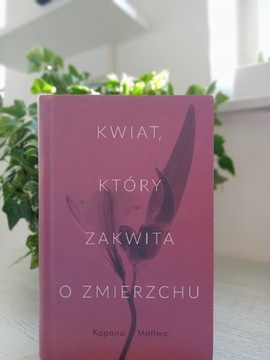 Kwiat który zakwita o zmierzchu 