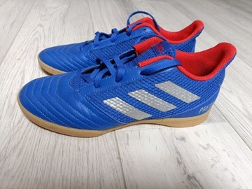 buty halówki Adidas Predator