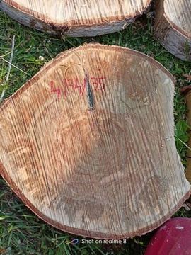 Krążki plastry drewna brzoza 35cm do 33cmśrednica