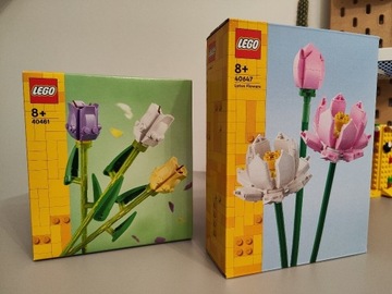 LEGO Kwiaty (40647 + 40461)(Mozliwy odbior WRO)