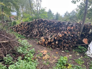Drewno opałowe Akacja - okazja (10m3)