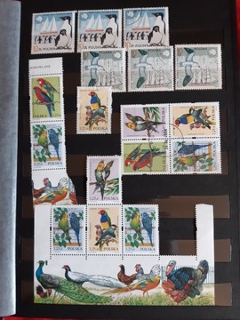 Kolekcja znaczków "ptaki"