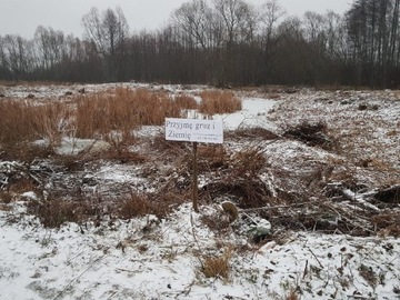 Przyjmę ZIEMIE I GRUZ Płock/Cichomice/Grabina