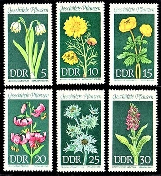 Kwiaty flora 1456 - 1461**