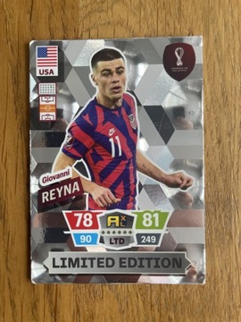 Word Cup Qatar 2022 limited Reyna