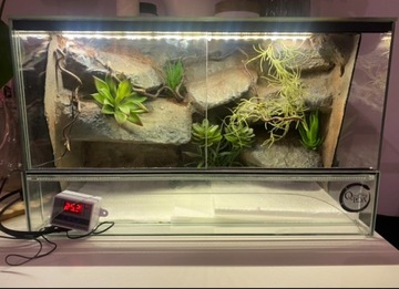 terrarium dla gekona/węża 