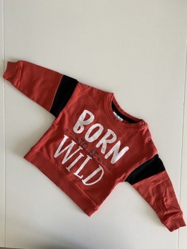 Pepco So Cute czerwona bluza born to be wild 74