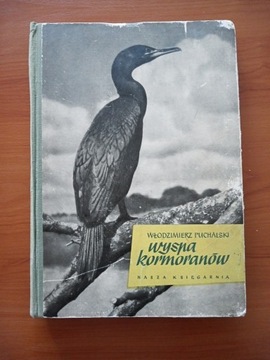 Wyspa kormoranów 