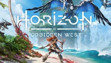 Horizon Forbidden West Edycja Kolekcjonerska steel