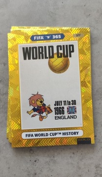 FIFA 365 2021 GOLD WORLD CUP HISTORY 377