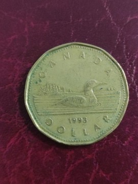 Kanada 1 dolar 1993