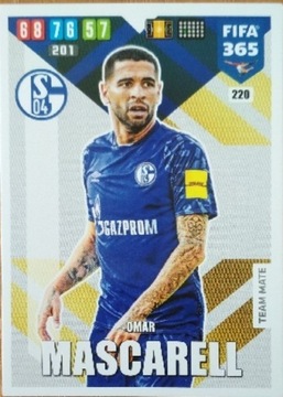 FIFA 365 2020 TEAM MATE  - F.C. SCHALKE 04