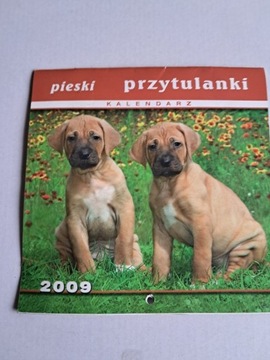 pieski przytulanki kalendarz wiszący200915,5x15,5 