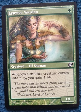 Essence Warden - PC - Near Mint