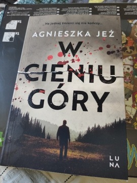 W Cieniu Góry Książka 