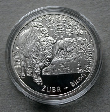 20 zł, 2013 rok, Żubr