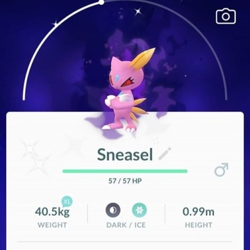 Shiny Shadow Sneasel