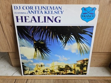 Cor Fijneman - Healing /// Winyl Trance