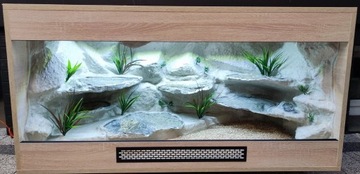 terrarium dla agamy jaszczurki 120x60x60