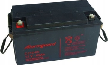Alarmguard CJ 12-65 12V - 65 Ah