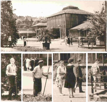 POZNAŃ -- PALMIARNIA -- OGRODNICY -- PIESI -- 1963