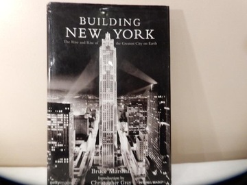 Building New York 35 x 23 cm