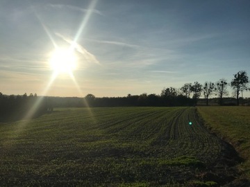 Biomasa, frakcja bio, ziemia / przyjmę duże ilości