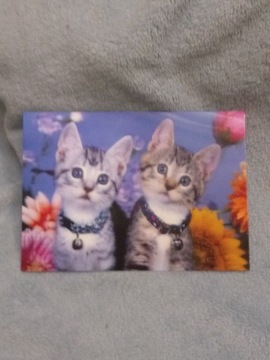 Pocztówka trójwymiarowa  kotki z dzwoneczkami