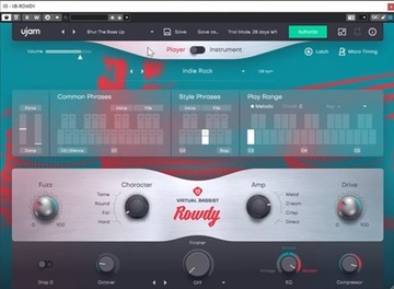 UJAM - ROWDY 2 - Wirtualny Basista Plugin