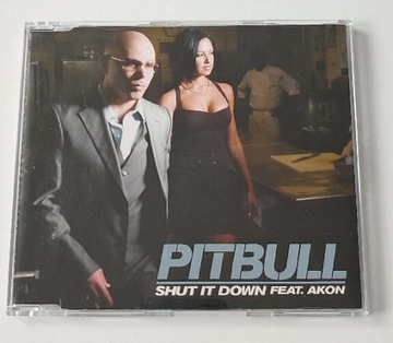 Pitbull Feat. Akon - Shut It Down 