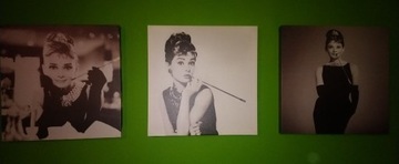 Fotoobrazy Audrey Hepburn 40cmx40cm 