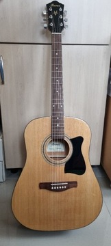 Gitara Ibanez v50njp-nt