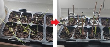 Podpora do roślin, sadzonek - komplet - 5X (20cm)