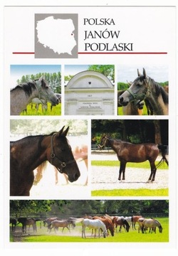 Janów Podlaski mapka konie pocztówka 152