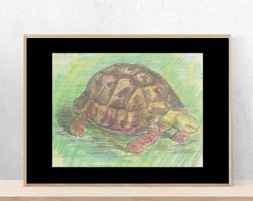 żółw plakat A4, obrazek z żółwiem