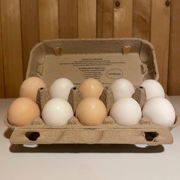 Wiejskie jajka ekologiczne z wolnego wybiegu
