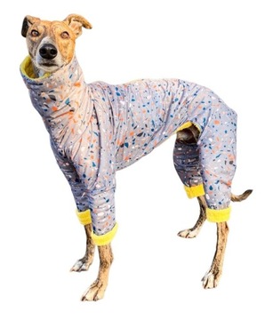 Kombinezon kurtka dla psa charta whippet greyhound