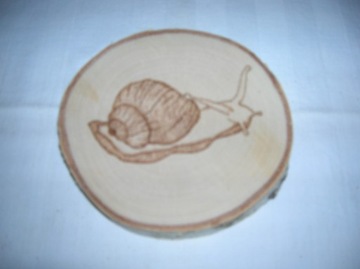 Obrazek ślimaka wypalany w drewnie