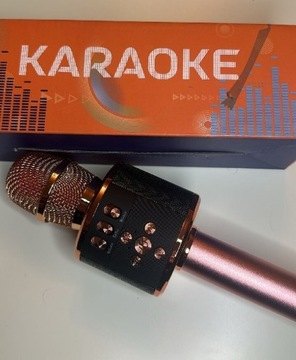 Mikrofon karaoke