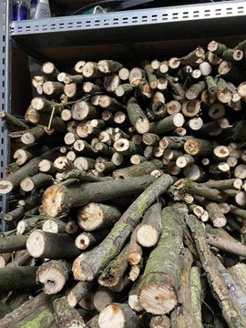 Drewno opałowe, kominkowe- wierzba energetyczna