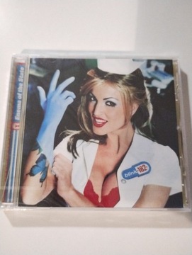 Blink 182 - Enema of the state 